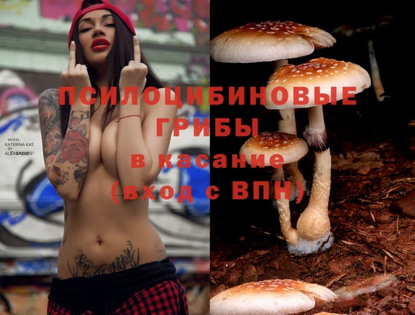 spice Горно-Алтайск
