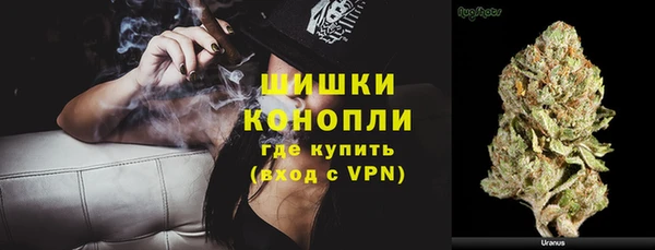 ECSTASY Горняк