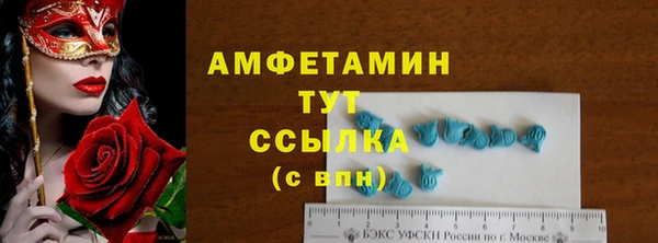 сатива Гусь-Хрустальный