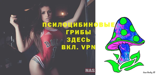 spice Горно-Алтайск