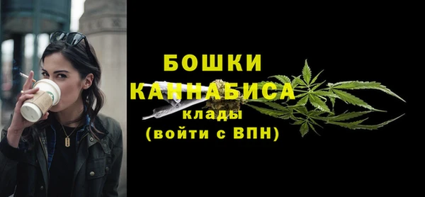 сатива Гусь-Хрустальный