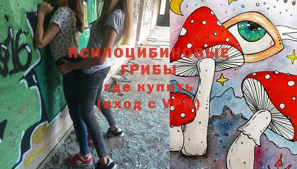 хмурый Гусиноозёрск