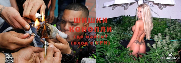 сатива Гусь-Хрустальный