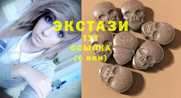 ECSTASY Горняк