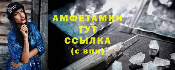 сатива Гусь-Хрустальный