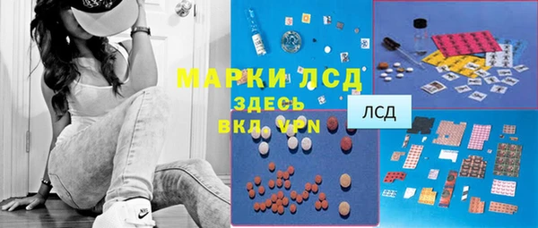 сатива Гусь-Хрустальный