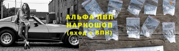 ECSTASY Горняк